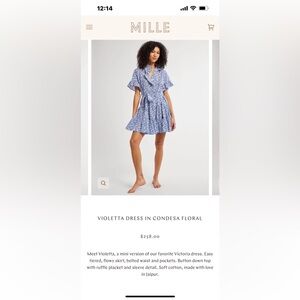 Mille Violetta Mini Dress in Condesa Floral Blue